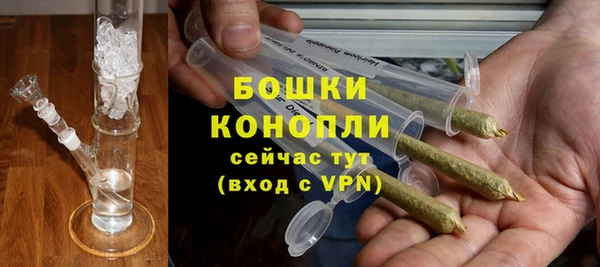 ГАЛЛЮЦИНОГЕННЫЕ ГРИБЫ Алзамай