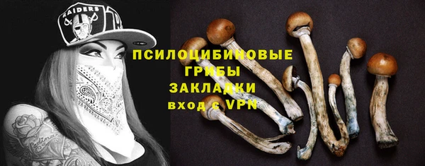 соль курить ск Алексин