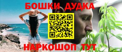 гашик Обь