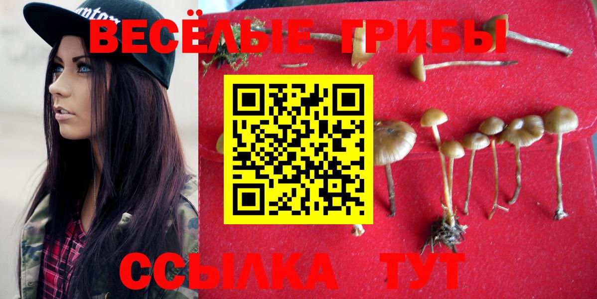 Галлюциногенные грибы мицелий Полысаево