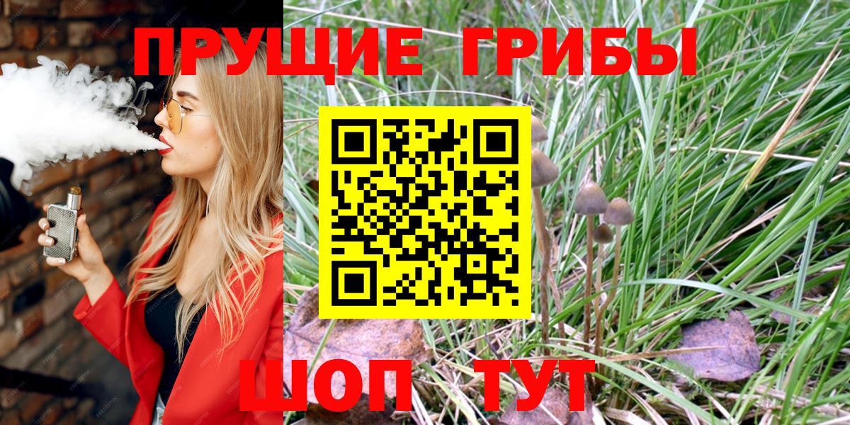 Галлюциногенные грибы Magic Shrooms  Вход с VPN  Галлюциногенные грибы Psilocybine cubensis  Полысаево 