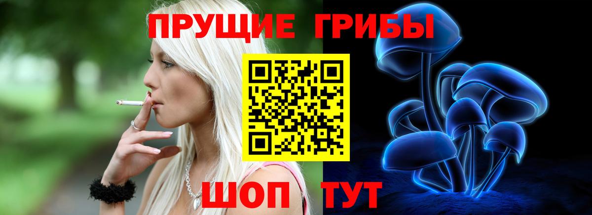 Псилоцибиновые грибы прущие грибы Полысаево